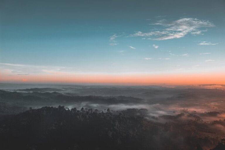 Bird S Eye View Photography Of Green Forest 1208379 1 768x512